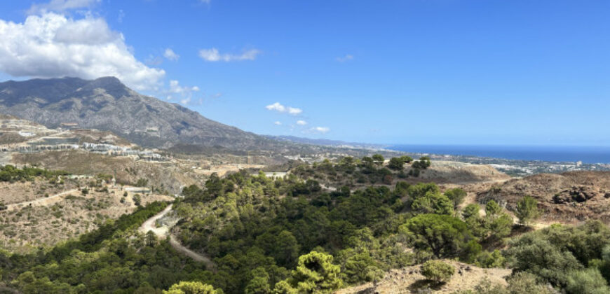 EL MADROÑAL BENAHAVIS