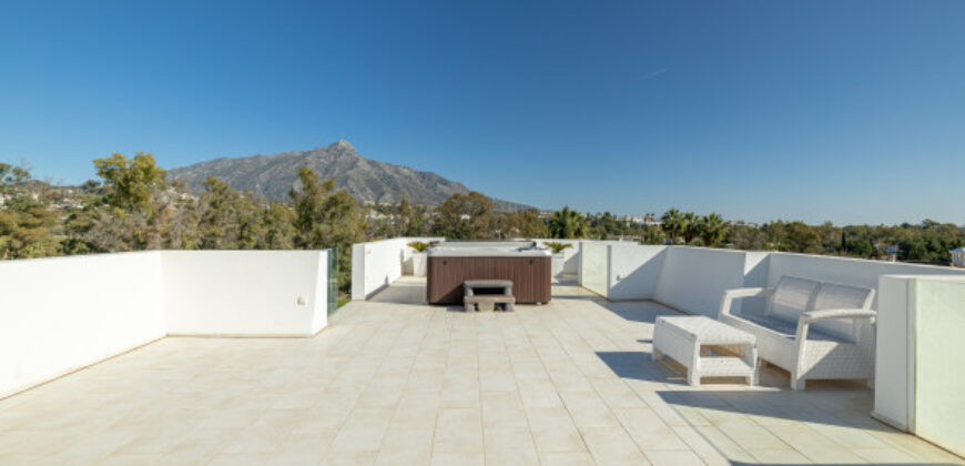 LA CERQUILLA NUEVA ANDALUCIA